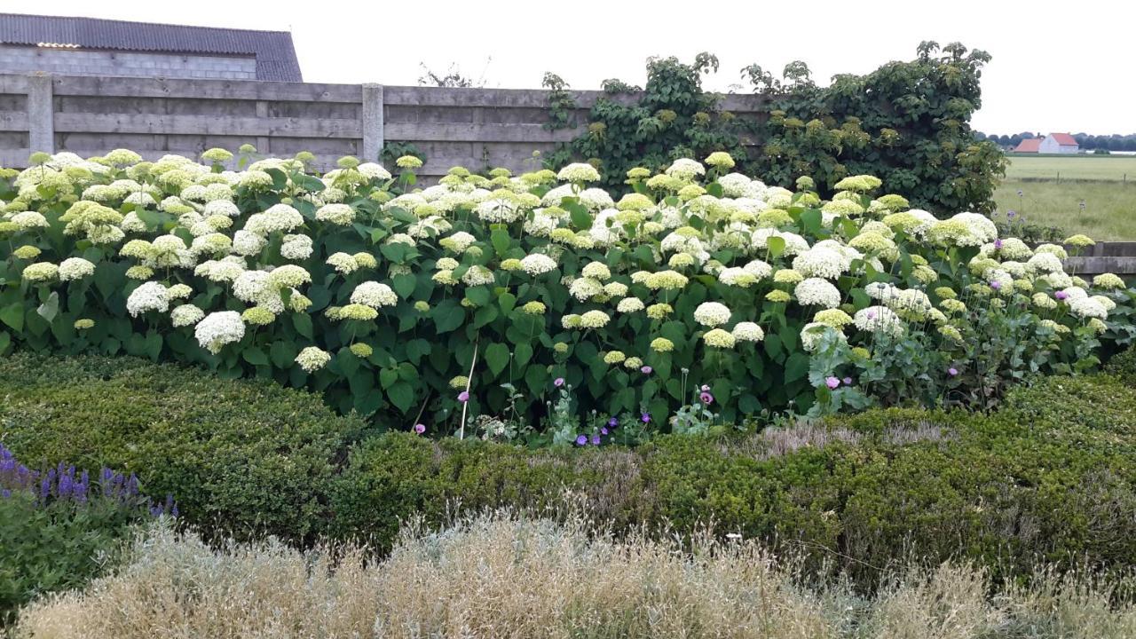 B&B Bergdal Gits ภายนอก รูปภาพ